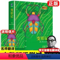 精装变形记 [正版]变形记精装无删减原著完整版 奥 卡夫卡 著 李文俊 译 高中甫 编