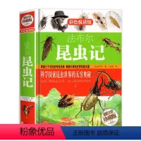 昆虫记 [正版]精装昆虫记 全彩珍藏版 法布尔课外阅读书籍排行榜儿童科普故事书