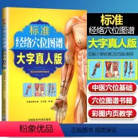 [正版]人体穴位图人体经络穴位图解书使用手册中医针灸按摩标准经络穴位图谱大字真人版人体经络穴位使用图册大图册图解书籍手
