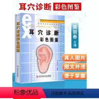 [正版] 耳穴诊断彩色图鉴黄丽春著科技文献出版社 中医针灸推拿按摩 耳医学 耳穴诊断法 视听触叩诊 望闻问切辩证 疾病