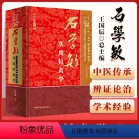 [正版] 石学敏实用针灸学 中国中医药名家实用文库 石学敏院士主编 中医针灸学经络与腧穴刺络疗法针刺机理研究