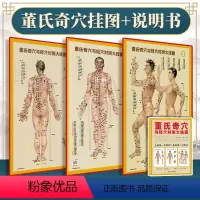 [正版]3张 董氏奇穴与经穴对照大挂图 可搭配邱雅昌杨维杰董氏奇穴实用手册原理结构穴位诠解治疗析要等书籍中医中国医药科