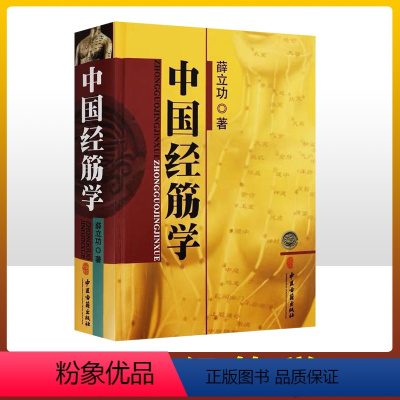 [正版] 中国经筋学(平装) 薛立功主编 中医临床经络筋骨学位按摩推拿中医养生诊疗方法医学 中医 基础理论 中医古籍出