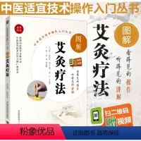 [正版]图解皮艾灸疗法送视频中医适宜技术操作入门丛书零基础学中医实用技术中医临床操作技术书籍图书中国医药科技出版社