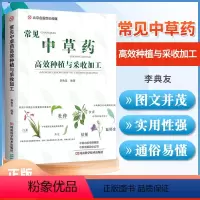 [正版] 常见中草药高效种植与采收加工 无公害中药材栽培种植技术大全书籍病虫害防治药材种植学管理书中草药药材栽培管理干
