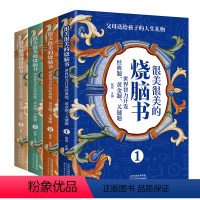 很美很美的烧脑书全4册 [正版]很美很美的烧脑书全4册 世界智力开发经典题黄金题关键题 小学一二三四年五六级智力开发书籍