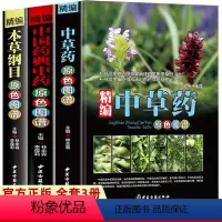 [正版]全3册精编中草药+本草纲目+中国药典中药原色图谱 中草药全图鉴速查手册图谱中国药材图鉴大全常用中草药识别应用中