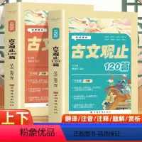 名师精讲古文观止120篇上下全2册 初中通用 [正版]名师精讲古文观止120篇上下全2册初中小学生必背古诗文文言文课外语