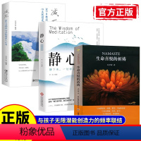 [正版]随书赠能量朗读小册生命喜悦的祈祷+减压静心的智慧3册沈妙瑜著祈祷文感想送给孩子的心灵札记每日能量金句