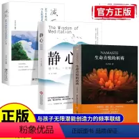 [正版]随书赠能量朗读小册生命喜悦的祈祷+减压静心的智慧3册沈妙瑜著祈祷文感想送给孩子的心灵札记每日能量金句