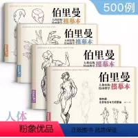 [正版]伯里曼人体结构教学描摹本四册全套 速写人物结构绘画练
