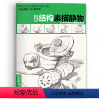 [正版]经典全集 素描结构静物组合临摹书籍美术基础技法大八开范本