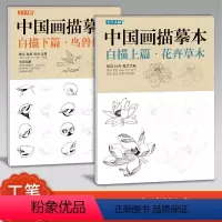 [正版]shshwh美学大师 工笔画白描描摹本上下2册/基础训练篇