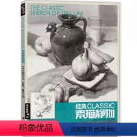 [正版]经典全集经典素描静物杨建飞麦粲杰联考单个单体结构体块临本范本