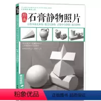 [正版]shwh经典全集 石膏几何体静物照片书画素描专业摄影 杨建飞主