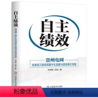 [正版]自主绩效 贵州电网 凯里麻江供电局数字化建模与绩效模式观察 中国版阿米巴经营案例实践 全方位解读自主绩效管理模