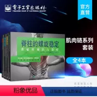 [正版]肌肉链套装 共4册 肌肉链+脊柱的螺旋稳定+螺旋肌肉链训练 治疗椎间盘突出和脊柱侧弯+治疗脊柱侧弯 过度前后凸