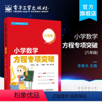 [正版] 小学数学方程专项突破 六年级 小学六年级分数方程知识拓展与计算综合应用 方程计算应用解决图形问题书籍