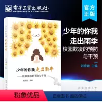 [正版] 少年的你我 走出雨季 校园欺凌的预防与干预 中小学生学校霸凌同学欺凌事件预防应对欺凌的应对策略心理教育书 自