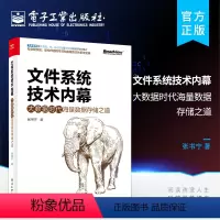 [正版] 文件系统技术内幕 大数据时代海量数据存储之道 张书宁
