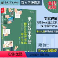 [正版] 审计效率手册 用Excel高效完成审计工作 详解如何利用Excel组合工具提升审计效率 表格制作 函数公式