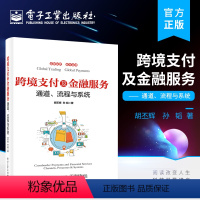 [正版] 跨境支付及金融服务 通道 流程与系统 全球汇款及购付汇跨境收款结汇境外本地支付通道系统设计跨境金融服务跨境支