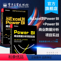 [正版] 从Excel到Power BI+Power BI商业数据分析项目实战智能数据分析入门书籍操作教程Power