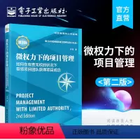 [正版] 微权力下的项目管理:如何在有责无权的状况下带领项目团队获得项目成功 第2版 肖杨 设项目管理机制 经济管理书