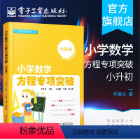 [正版] 小学数学方程专项突破 小升初 李晨光 教参教辅书籍 小升初数学辅导资料书 小升初数学习题训练书籍 电子工业出