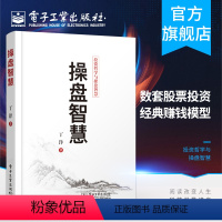 [正版] 操盘智慧 投资哲学与操盘智慧 私募投资人丁洋先生 逆向投资形成机理操盘智慧 投资盈利模型归纳私募内部基金报告