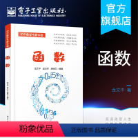 [正版] 函数 初中数学专题突破中学教辅 数学基础知识 中学生数学自学教程 初中知识清单 初中数学专题突破 中学数学教