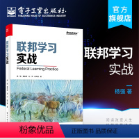 [正版] 联邦学习实战 数据孤岛 隐私保护 密码学分布式计算机器学习数据隐私安全工程架构产业案例数据资产定价 网络