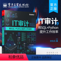 [正版] IT审计:用SQL+Python提升工作效率 数据可视化技巧图书籍 Python基础与Python实战技巧