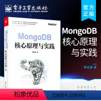 [正版] MongoDB核心原理与实践 WiredTiger存储引擎实践案例 MongoDB安装部署驱动应用开发运维管