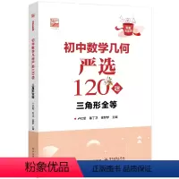 数学 初中通用 [正版] 初中数学几何严选120题 三角形全等 好题全家桶系列 以题目类型为依据划分 帮助学生逐渐规范答