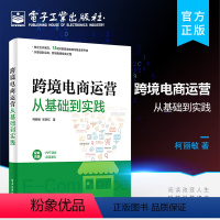 [正版] 跨境电商运营从基础到实践 柯丽敏 国际贸易 交易流程 商业模式 规避风险 电子商务经管励志书籍