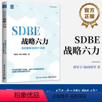 [正版] SDBE战略六力:将战略做实的6个关键 胡荣丰 战略规划闭环管理 落地企业战略规划 战略高效执行