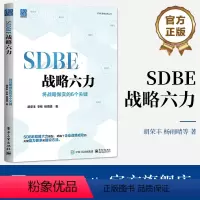 [正版] SDBE战略六力:将战略做实的6个关键 胡荣丰 战略规划闭环管理 落地企业战略规划 战略高效执行
