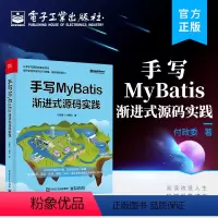 [正版] 手写MyBatis 渐进式源码实践 MyBatis的核心逻辑 MyBatis分析设计实践 MyBaits核心