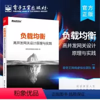 [正版] 负载均衡 高并发网关设计原理与实践 负载均衡技术原理教程书籍 负载均衡性能优化安全设计 爱奇艺网络虚拟化团