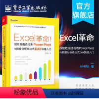 [正版] Excel革命!超级数据透视表Power Pivot与数据分析表达式DAX快速入门 林书明 数据模型与DAX