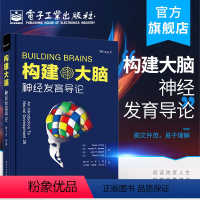 [正版] 构建大脑:神经发育导论 戴维·普赖斯 神经活动连接神经元凋亡细胞增殖神经细胞类型生物结构 临床医学书籍