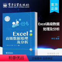 [正版] Excel高级数据处理及分析 编写思想以培养计算思维能