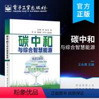 [正版] 碳中和与综合智慧能源 王永真 能源低碳转型 科普工具书 电子工业出版社