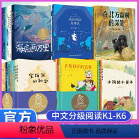 [小学1到6年级合集]中文分级阅读K1-K6 [正版]新版 亲近母语系列中文分级阅读文库K4K1K2K3K5K6k7k8