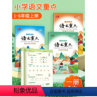 一年级上 [正版]看拼音写词语一年级上册二三四五六年级人教版小学语文重点专项练习册优美句子积累大全小学生好词好句摘抄语文