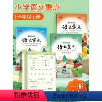 一年级上 [正版]看拼音写词语一年级上册二三四五六年级人教版小学语文重点专项练习册优美句子积累大全小学生好词好句摘抄语文
