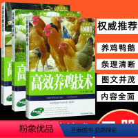 [正版]3册高效鸡鸭鹅养殖技术饲料配方大全技术及用药鸡病快速鉴别诊断图谱防治实用手册畜牧家禽养殖动物医学专业书籍科学生