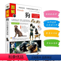 [正版]图解狗认识你爱的宠物养狗书籍名犬宠物书籍狗品种大全关于狗狗的书训犬书籍宠物书狗书养狗知识狗狗大全狗书籍养狗手册