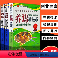 [正版]全3册高效养鸡系列养鸡书籍大全技术书常见病防治实用手册鸡饲料科学配制与应用饲料配方大全养鸡新技术畜牧养殖鸡病鉴